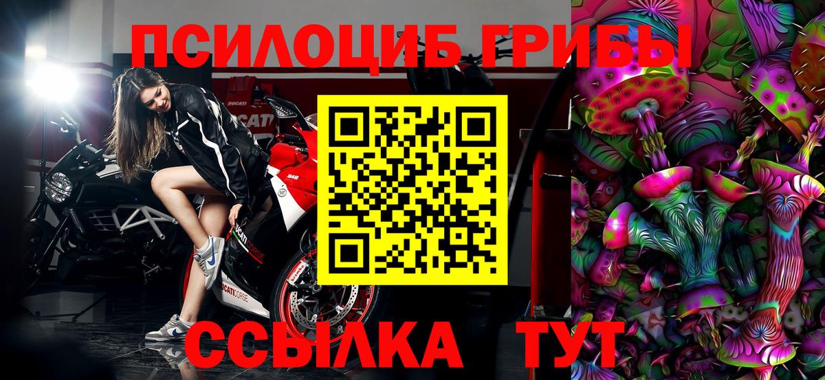 Новозыбков  Псилоцибиновые грибы GOLDEN TEACHER  Псилоцибиновые грибы Psilocybine cubensis  Вход с VPN 