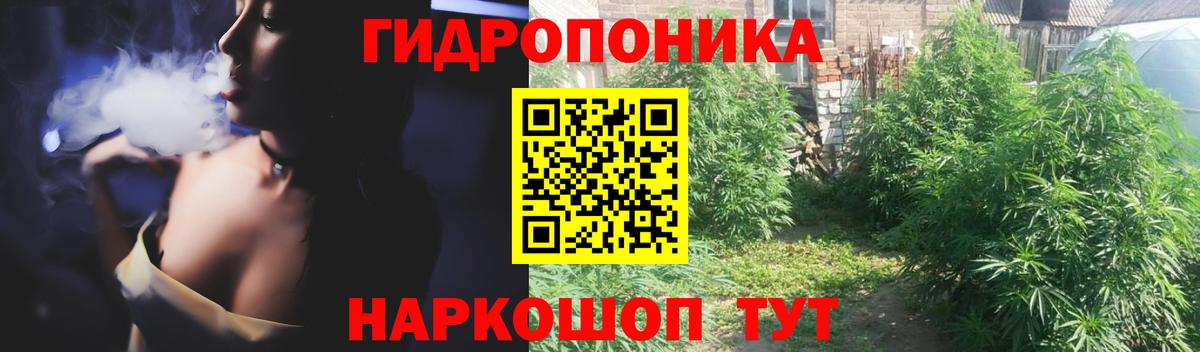 Новозыбков  Шишки марихуана OG Kush  Марихуана AK-47  Вход с VPN  Бошки марихуана AK-47 